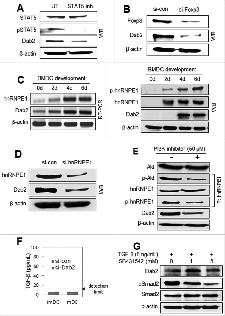 Figure 2 (See previous page).