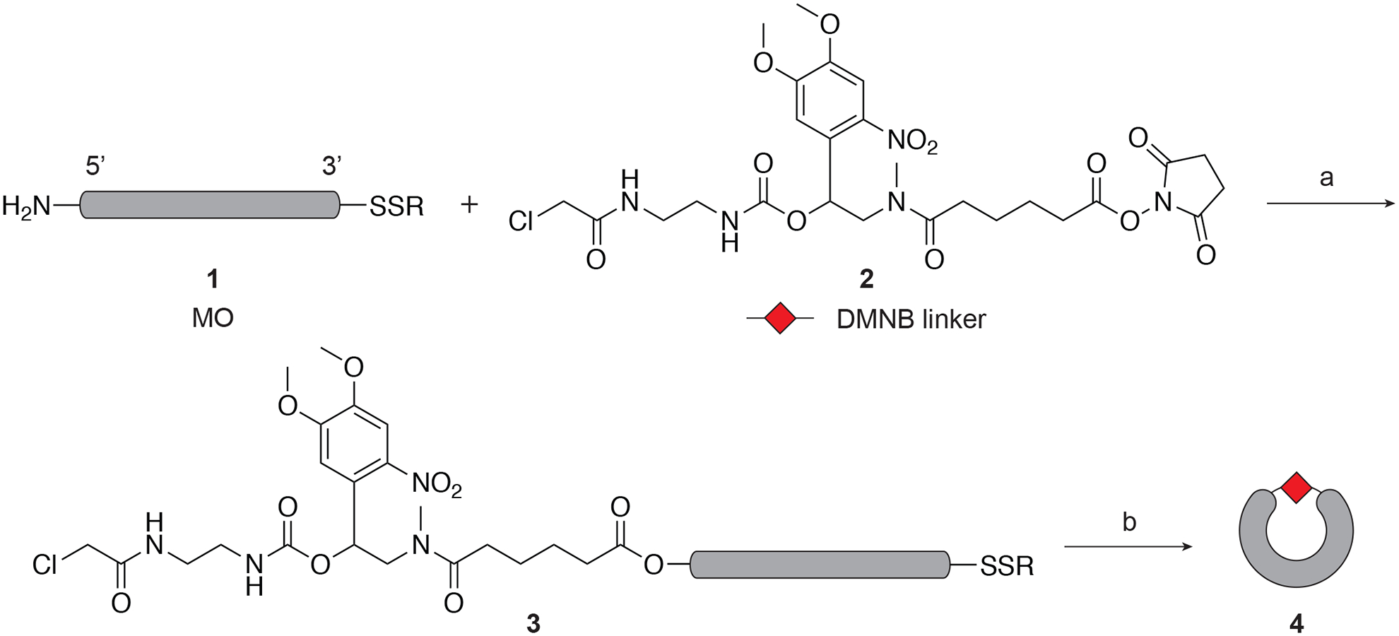 Figure 2.