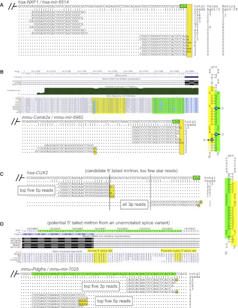 Figure 4.