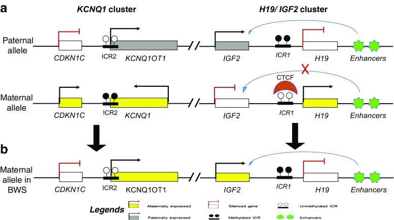 Fig. 2