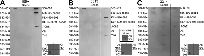 Figure 9.