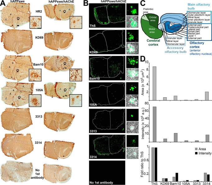 Figure 11.