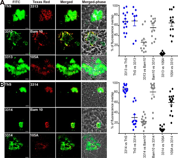 Figure 13.