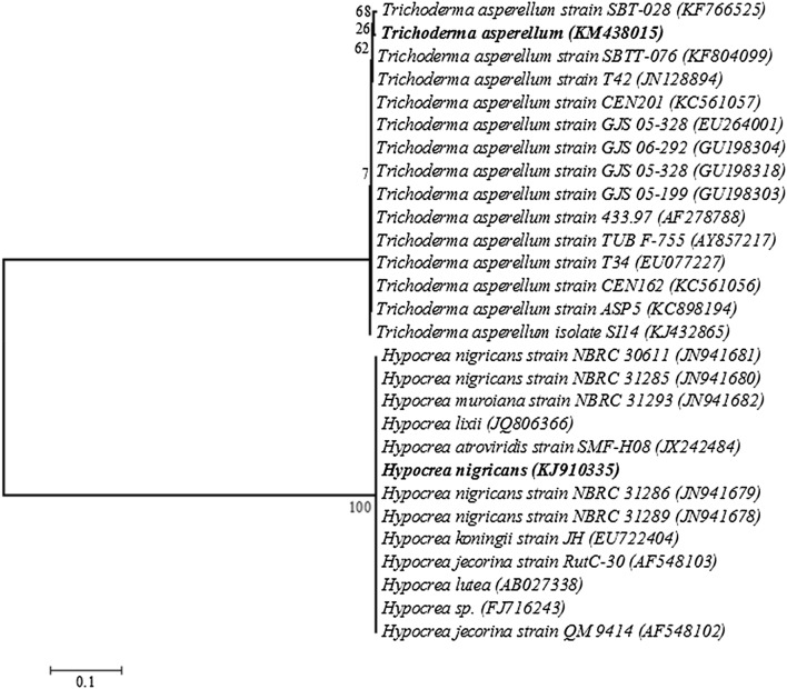 Fig. 4