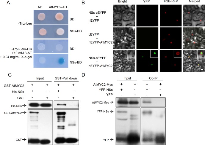 Fig 4