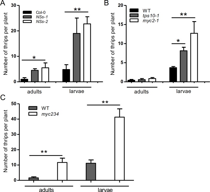 Fig 6