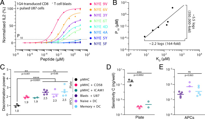 Figure 2—figure supplement 3.