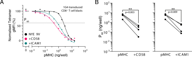 Figure 4—figure supplement 1.