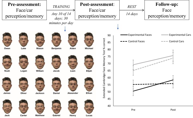 Graphical Abstract