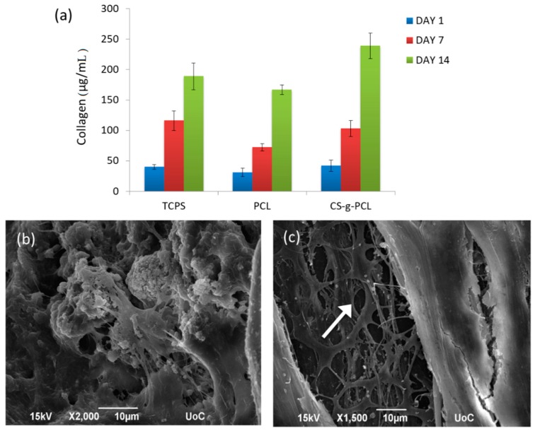 Figure 14