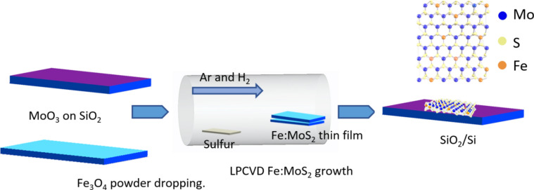 Fig. 1