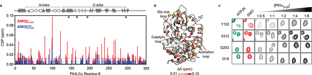 Fig. 2: