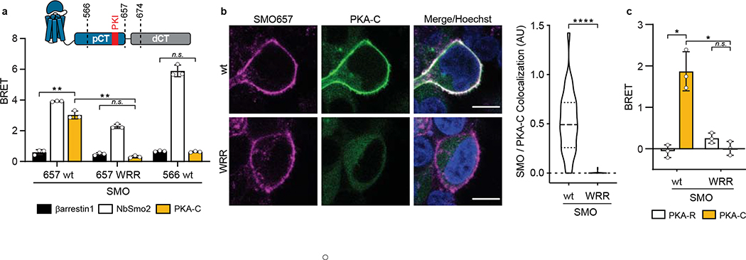 Fig. 4: