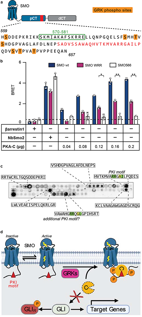 Fig. 7: