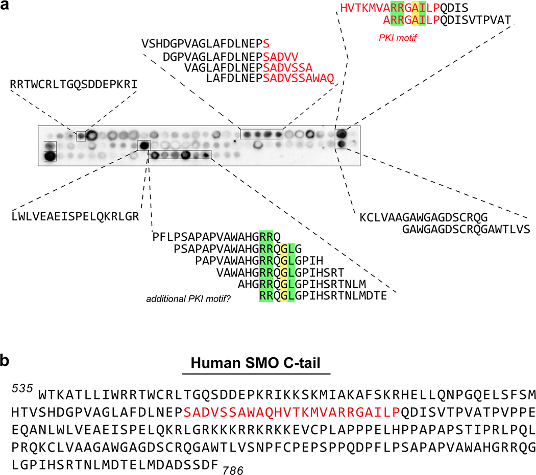 Extended Data Fig. 9