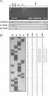 FIG. 6.