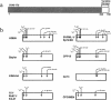 FIG. 3.