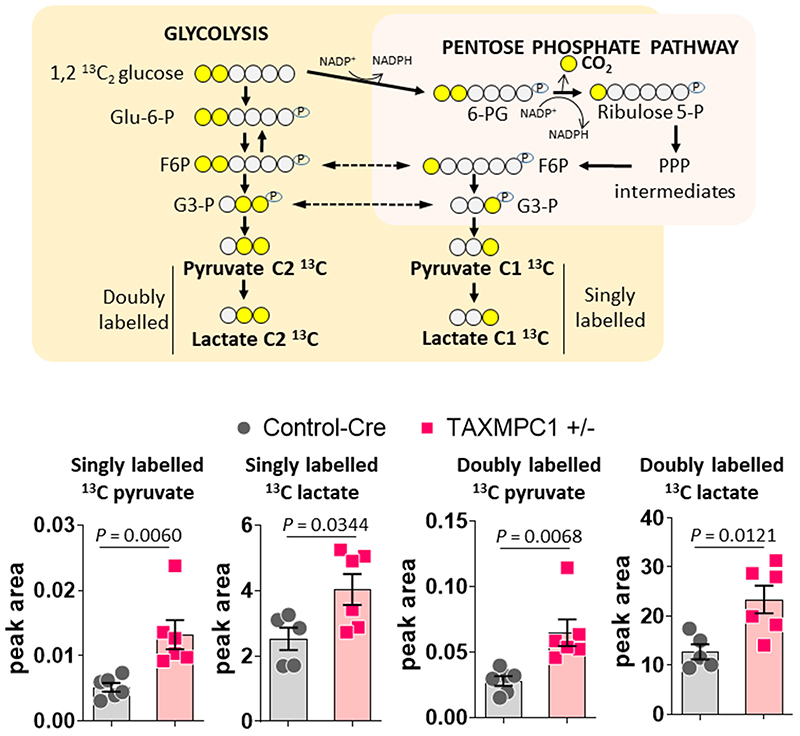 Extended Data Fig. 5