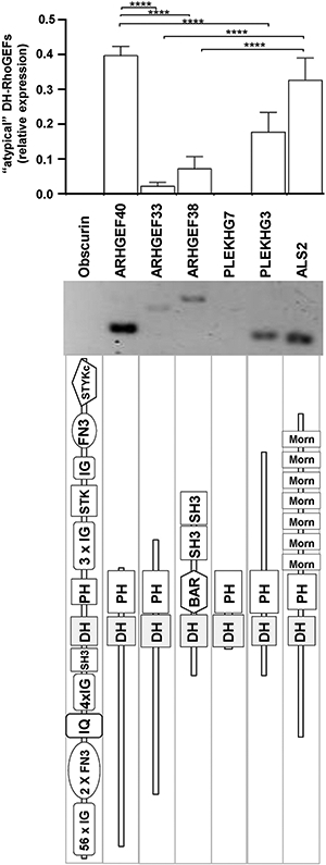 Fig. 8.