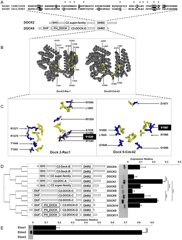 Fig. 9.