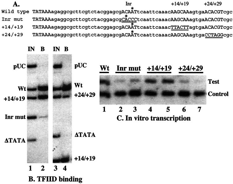 FIG. 1