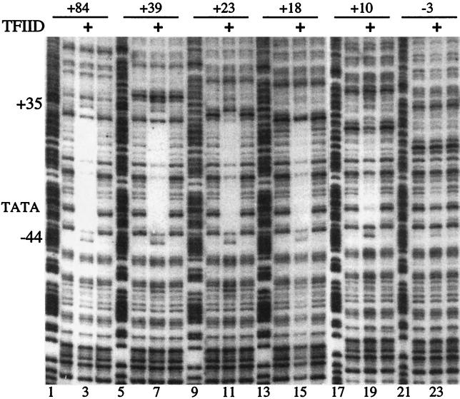 FIG. 5