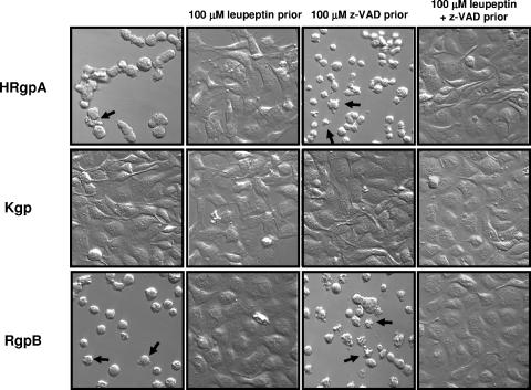 FIG. 8.