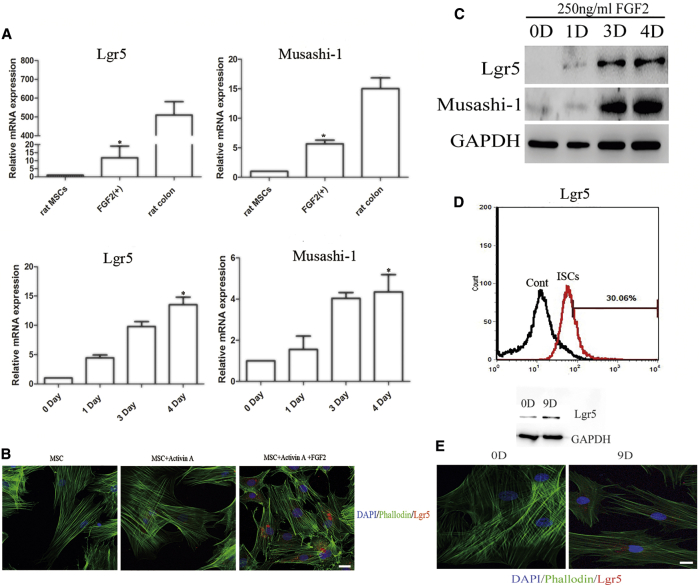 Figure 2