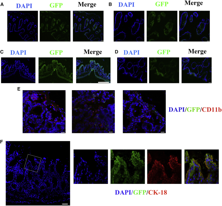 Figure 6