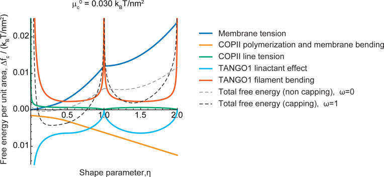 Figure 1—figure supplement 1.