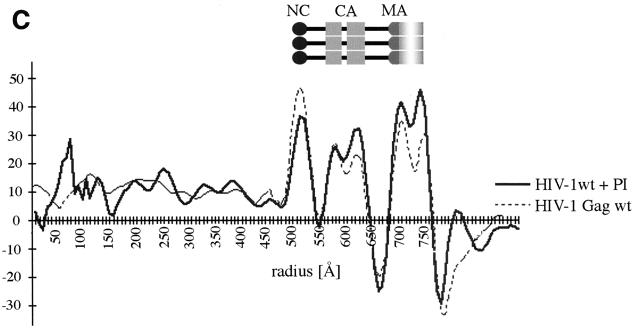 FIG. 6