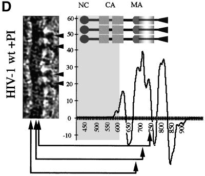 FIG. 6