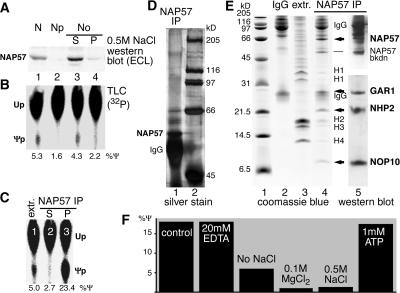 FIG. 6.