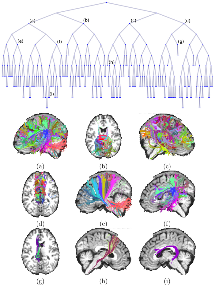 Figure 13: