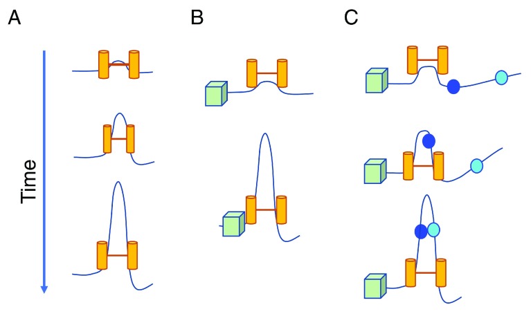 Figure 3. 