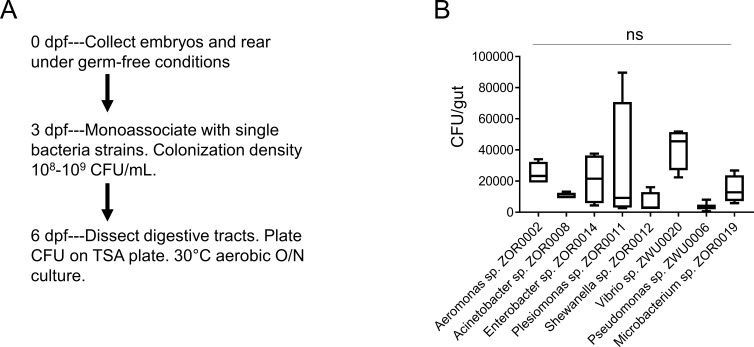 Figure 9—figure supplement 1.