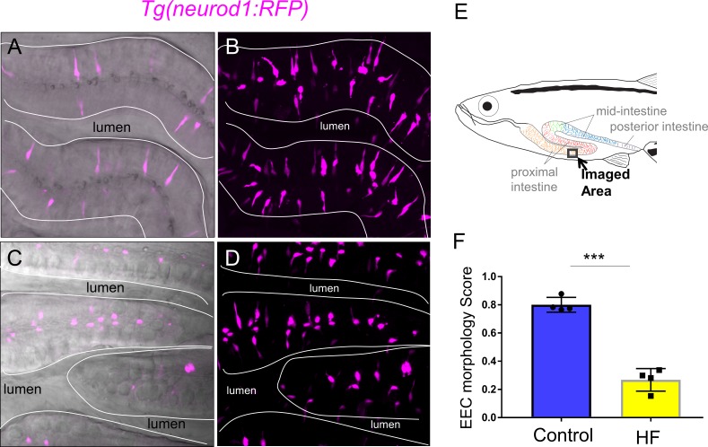 Figure 4—figure supplement 5.