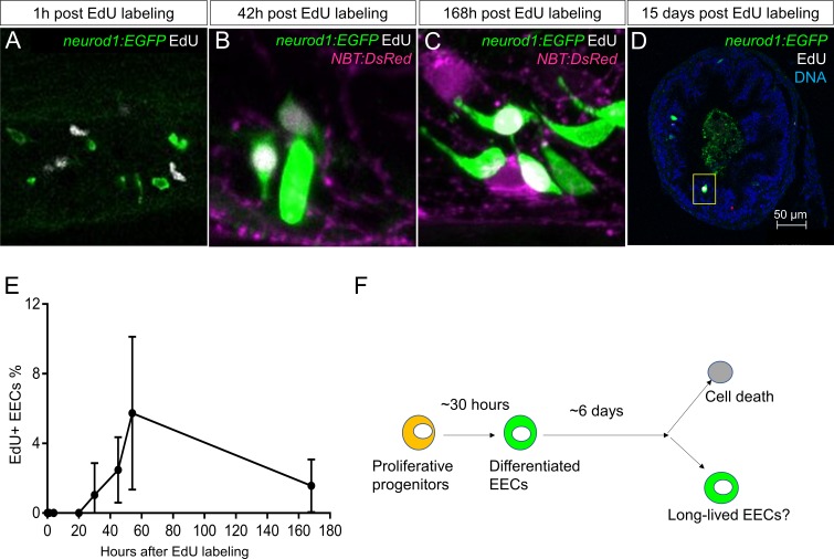 Figure 1—figure supplement 2.