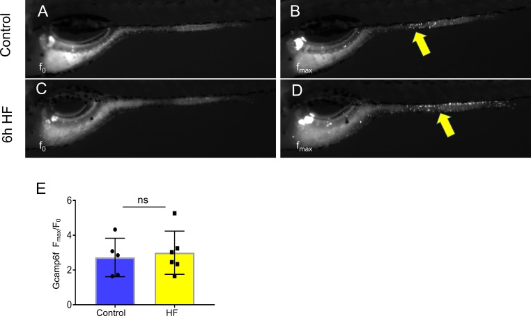 Figure 3—figure supplement 1.