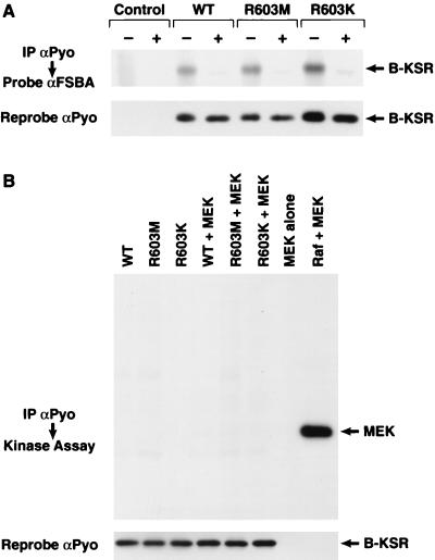 FIG. 11