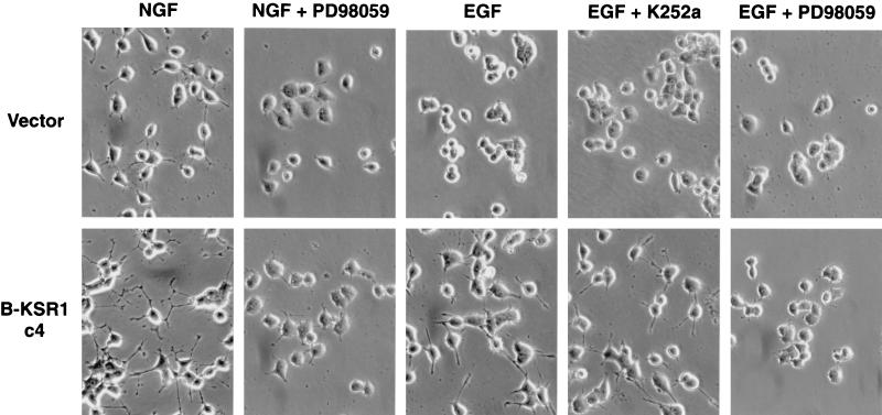 FIG. 7