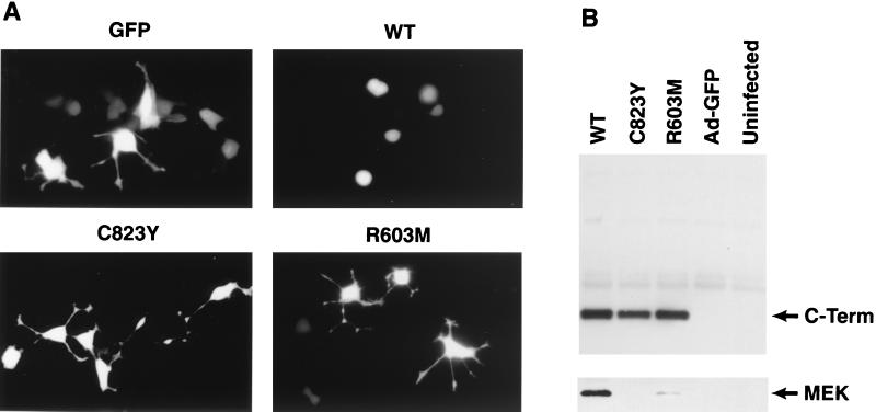 FIG. 10