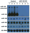 Fig. (1)