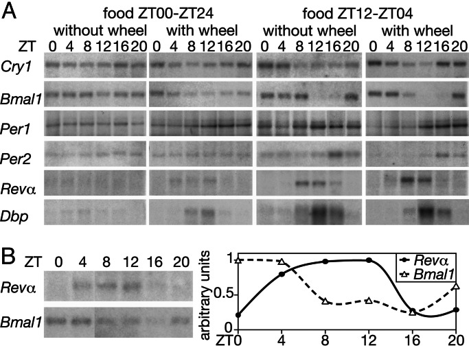 Fig. 3.