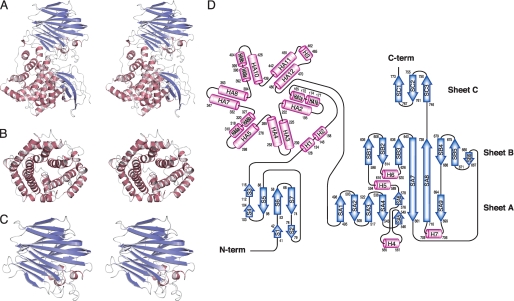 FIGURE 2.