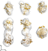 FIGURE 10.