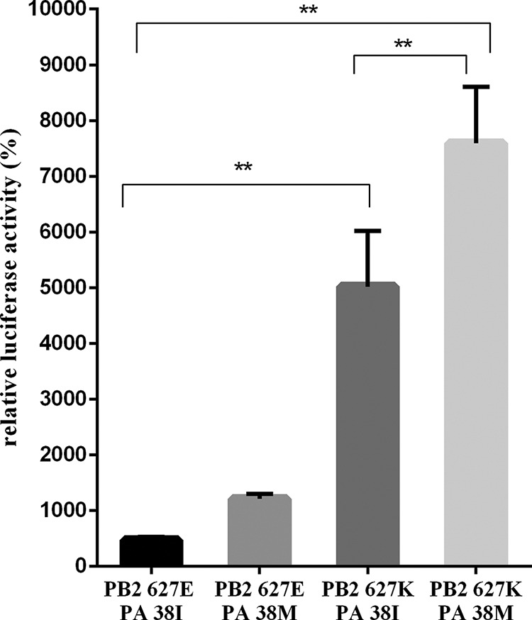 FIG 6