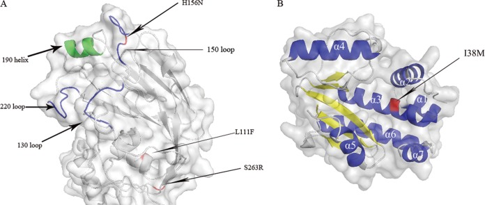 FIG 2