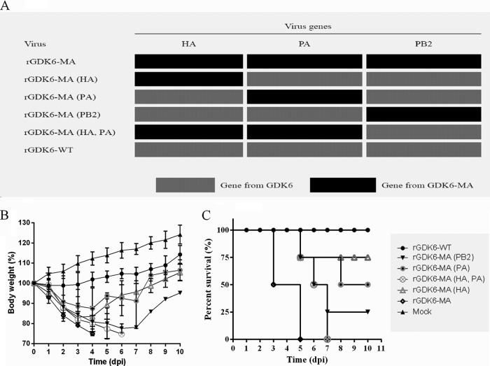 FIG 3