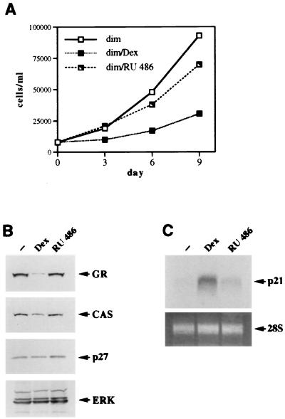 FIG. 10